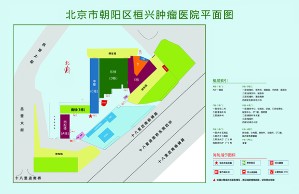 鸡巴抽插骚逼北京市朝阳区桓兴肿瘤医院平面图